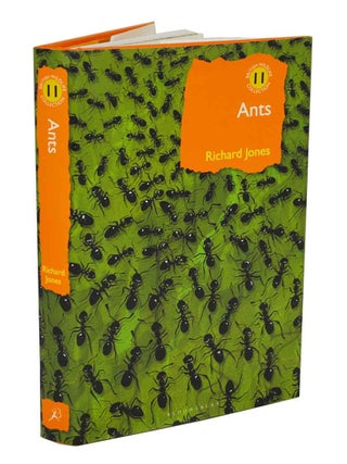 Ants: the ultimate social insects.