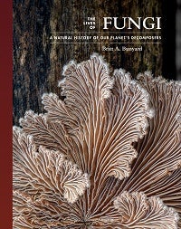 Stock ID 43336 The lives of fungi: a natural history of our planet's decomposers. Britt Bunyard