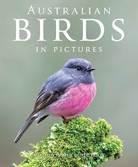 Stock ID 43480 Australian birds in pictures. Matthew Jones, Duade Paton