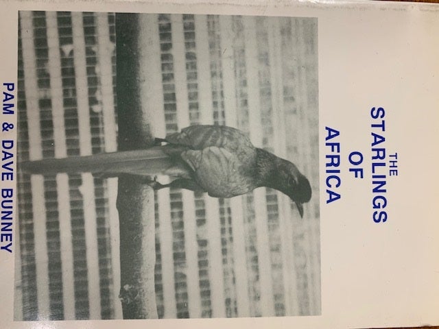 Stock ID 4350 Starlings of Africa. Pam and Dave Bunney.