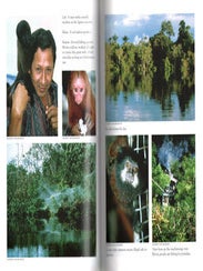 Journey of the Pink dolphins: an Amazon quest.