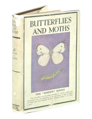 Stock ID 43548 Butterflies and moths. Janet Harvey Kelman