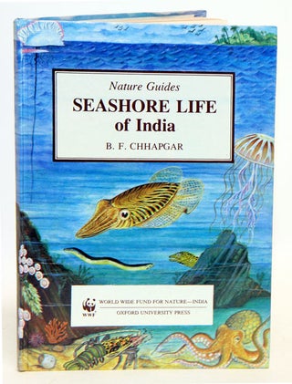 Stock ID 436 Seashore life of India. B. F. Chhapgar