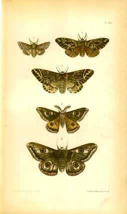 A natural history of British moths.