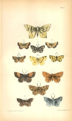 A natural history of British moths.