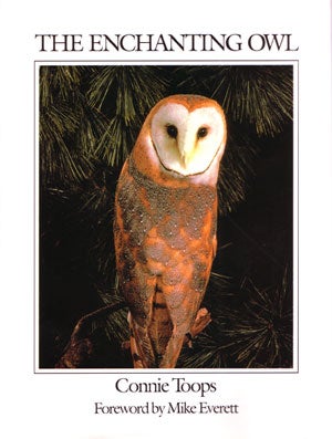 Stock ID 4364 The enchanting owl. Connie Toops