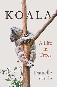 Stock ID 43643 Koala: a life in the trees. Danielle Clode