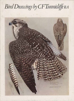 Stock ID 43735 Bird drawings by C. F. Tunnicliffe, RA