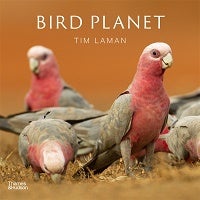 Stock ID 44010 Bird planet: a photographic journey. Tim Laman