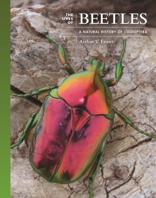 Stock ID 44172 The lives of beetles: a natural history of Coleoptera. Arthur V. Evans