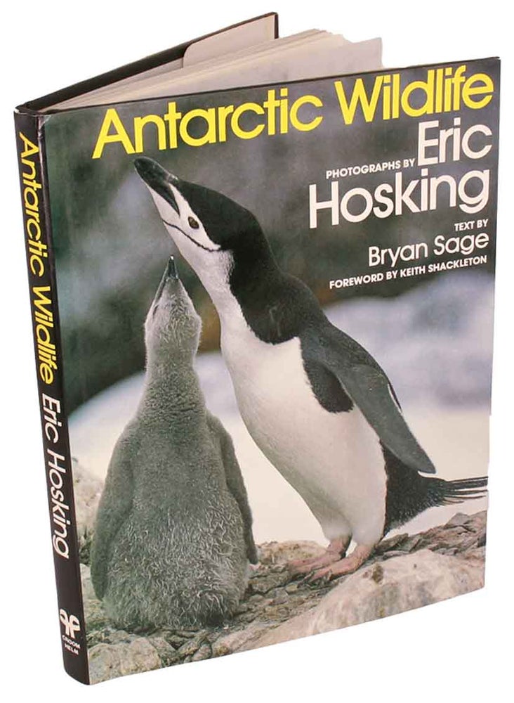 Stock ID 44179 Antarctic wildlife. Bryan Sage.