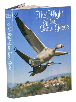 Stock ID 44251 The flight of the snow geese. Jen and Des Bartlett