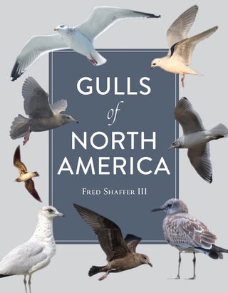 Gulls of North America. Fred Shaffer.