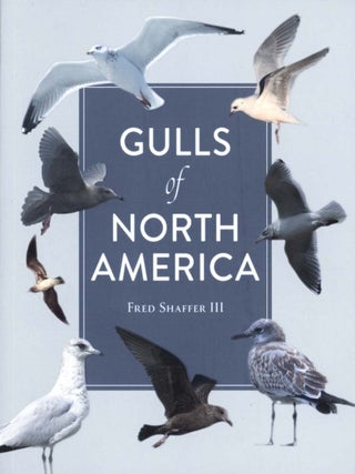 Gulls of North America.