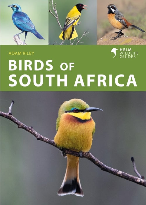 Stock ID 44285 Birds of South Africa. Adam Riley.