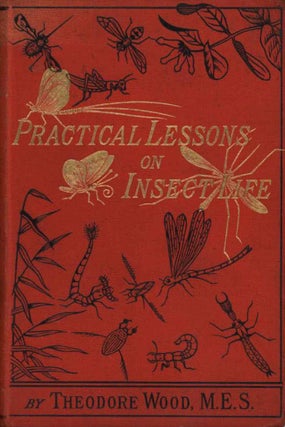 Stock ID 44327 Practical lessons on insect life. Theodore Wood