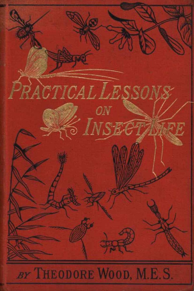 Stock ID 44327 Practical lessons on insect life. Theodore Wood.