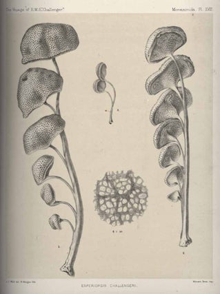 The zoology of the voyage of the H.M.S. Challenger, part 59. Report on the Monaxonida.
