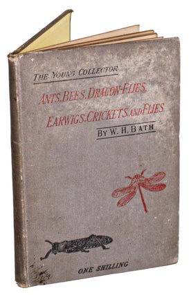 Stock ID 44356 Ants, bees, dragon-flies, earwigs, crickets, and flies. W. Harcourt Bath