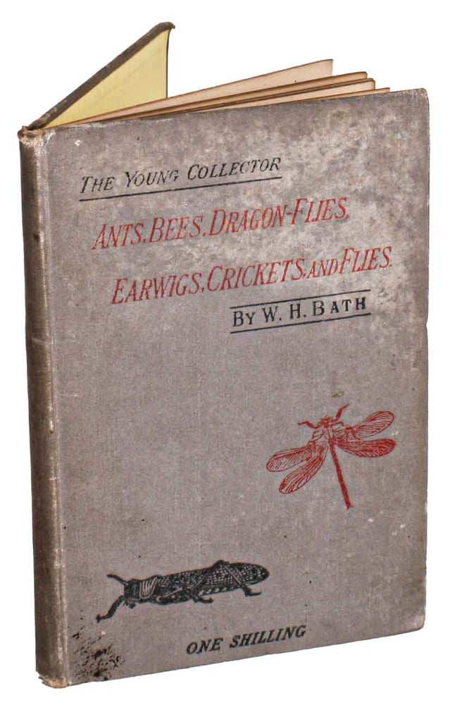 Stock ID 44356 Ants, bees, dragon-flies, earwigs, crickets, and flies. W. Harcourt Bath.
