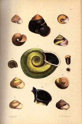 A monograph of Australian land shells.