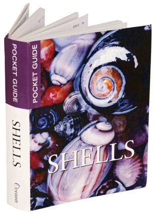 Stock ID 44369 Shells
