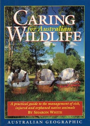 Stock ID 44370 Caring for Australian wildlife. Sharon White