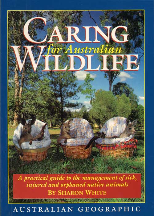 Stock ID 44370 Caring for Australian wildlife. Sharon White.