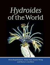 Stock ID 44394 Hydroides of the world. Elena Kupriyanova