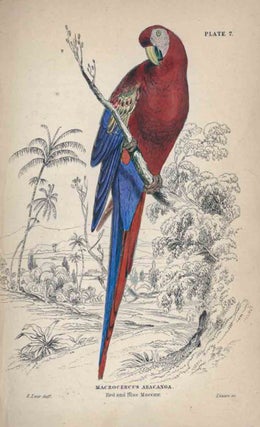 The natural history of parrots.