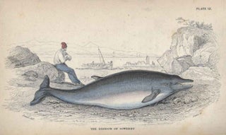 The natural history of the ordinary cetacea, or whales.