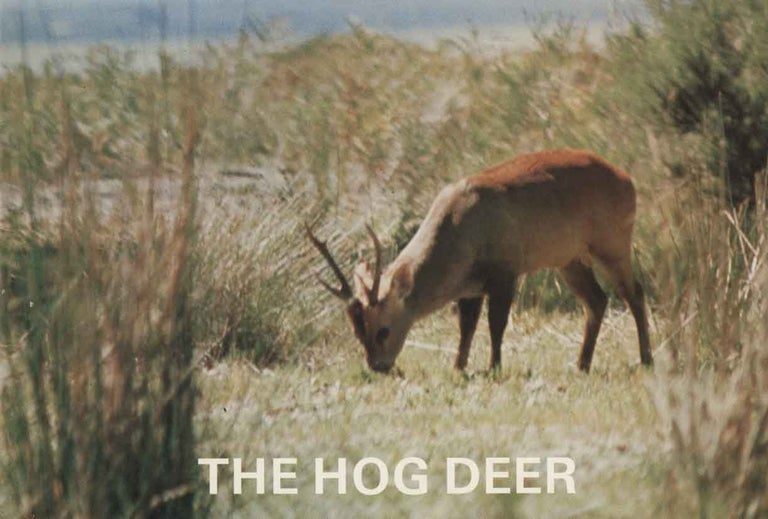 Stock ID 44465 The hog deer. The Victorian Deer Conservation Co-operative Limited.