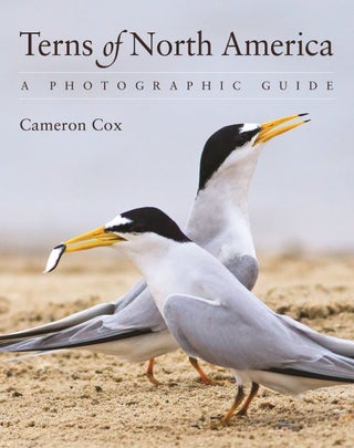 Stock ID 44476 Terns of North America: a photographic guide. Cameron Cox