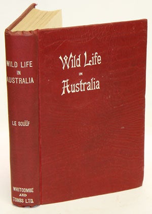 Stock ID 44482 Wild life in Australia. W. H. Dudley Le Souef