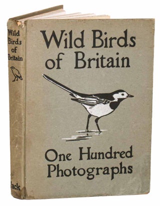 Stock ID 44504 Wild birds of Britain. F. B. Kirkman
