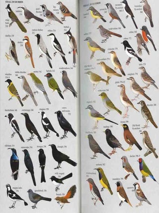 The Slater field guide to Australian birds.