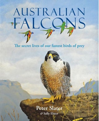 Australian falcons: the secret lives of our fastest birds of prey. Peter Slater, Sally Elmer.