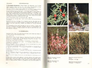 Flora of Australia, volume four. Phytolaccaceae to Chenopodiaceae.