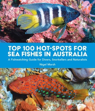 Stock ID 44671 Top 100 hot-spots for sea fishes in Australia: a fishwatching guide for divers,...