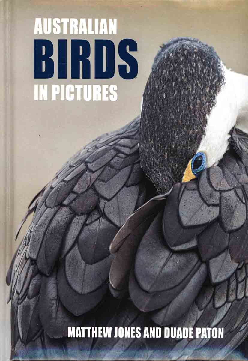 australian-birds-in-pictures-compact-edition-matthew-jones-duade-paton