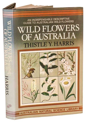 Stock ID 44698 Wild flowers of Australia. Thistle Y. Harris