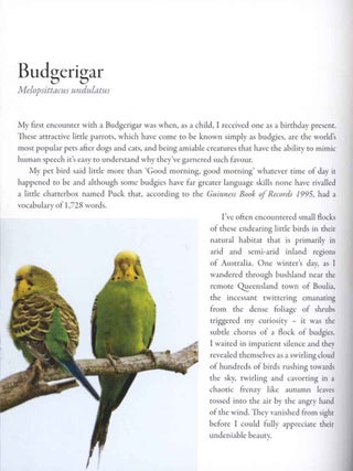 Encounters with Australian birds: finding inspirations from Australia's amazing birdlife.