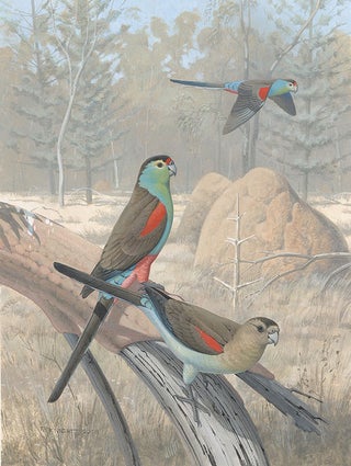 Vanished and vanishing parrots: profiling extinct and endangered species.
