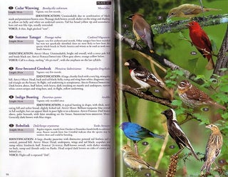 Birds, mammals and reptiles of the Galapagos Islands: an identification guide.