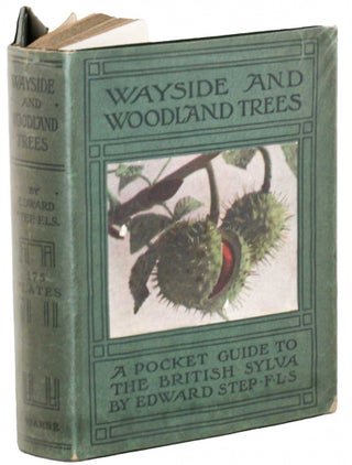 Stock ID 44730 Wayside and woodland trees: a pocket guide to the British Sylva. Edward Step