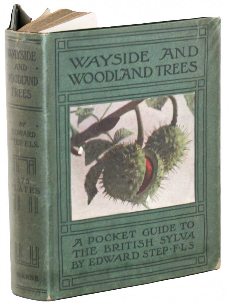 Stock ID 44730 Wayside and woodland trees: a pocket guide to the British Sylva. Edward Step.