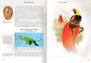 Birds of paradise: nature, art and history.