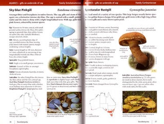 Fungi down under: the Fungimap guide to Australian fungi.