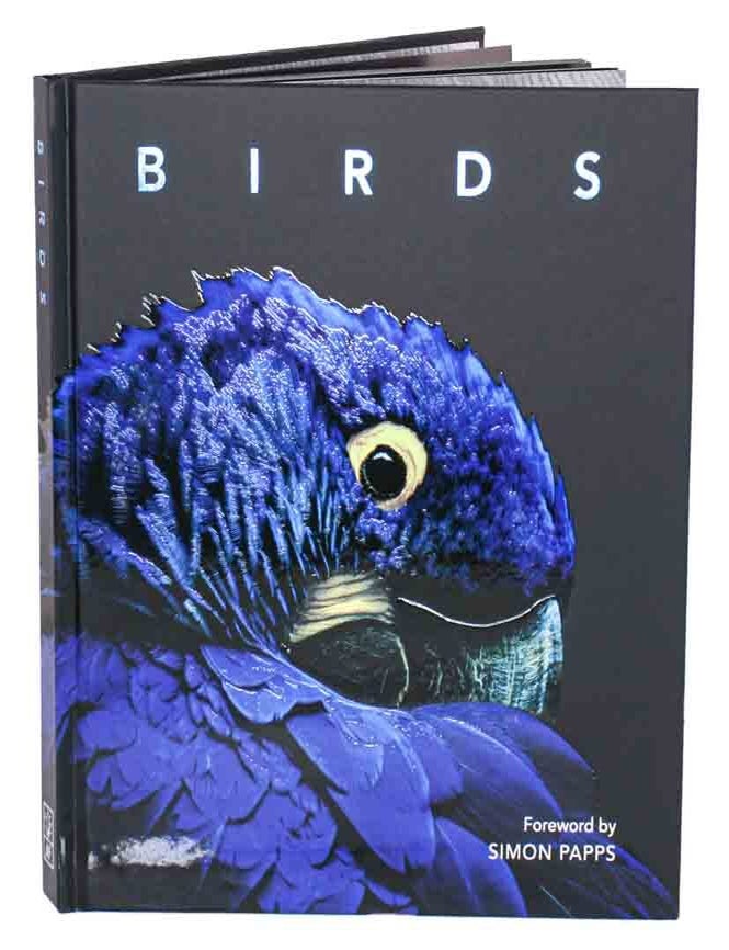 Stock ID 44764 Birds. Simon Papps.