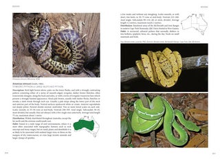 Reptiles and amphibians of Australia.